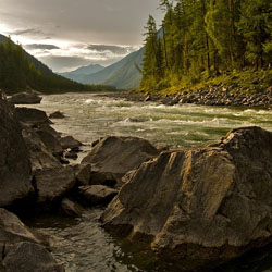 fishing the bow river